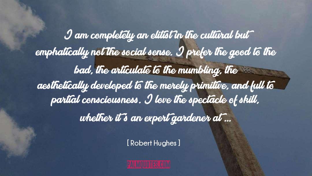 Robert Hughes Quotes: I am completely an elitist