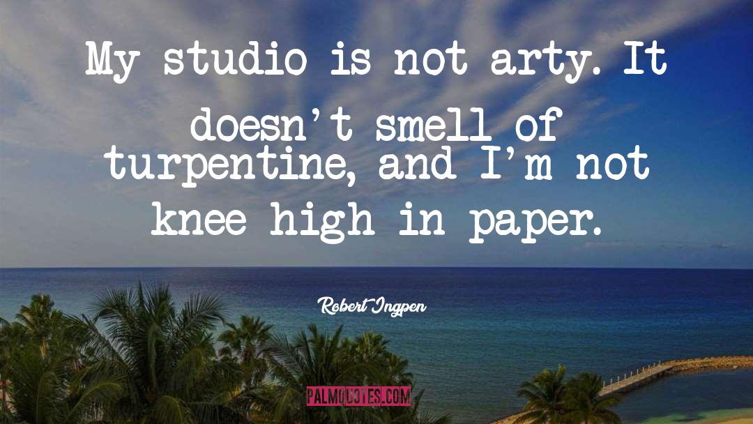 Robert Ingpen Quotes: My studio is not arty.