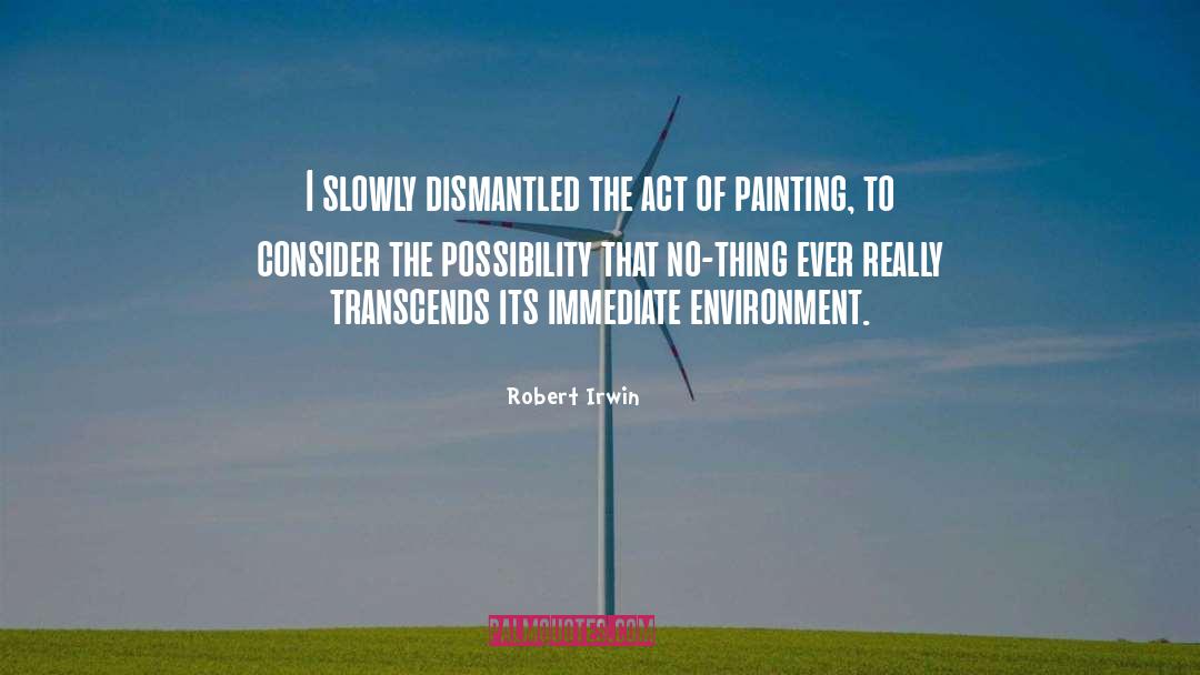 Robert Irwin Quotes: I slowly dismantled the act