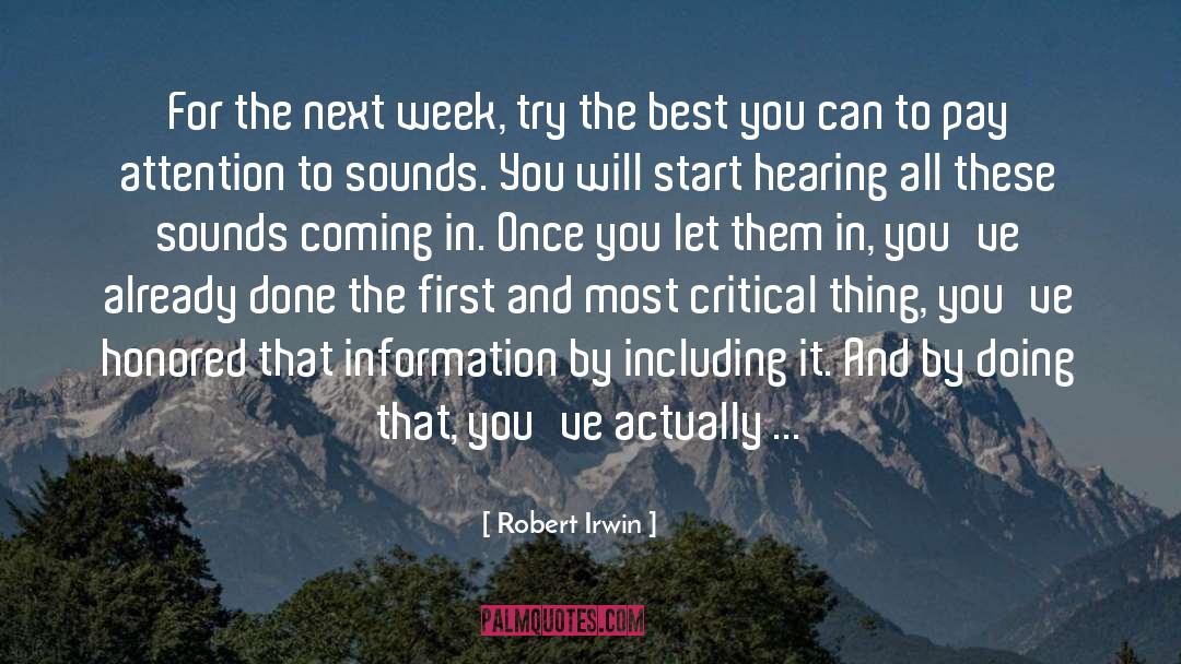 Robert Irwin Quotes: For the next week, try