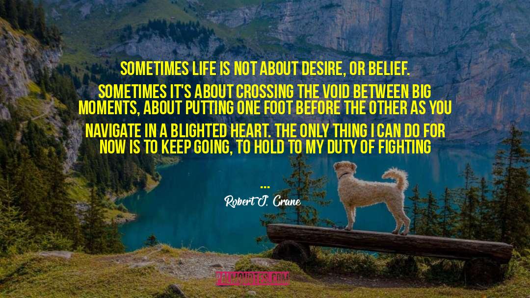 Robert J. Crane Quotes: Sometimes life is not about