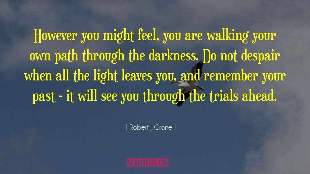 Robert J. Crane Quotes: However you might feel, you