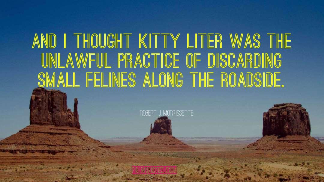 Robert J. Morrissette Quotes: And I thought kitty liter