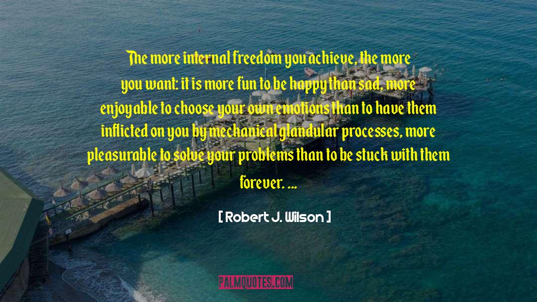 Robert J. Wilson Quotes: The more internal freedom you