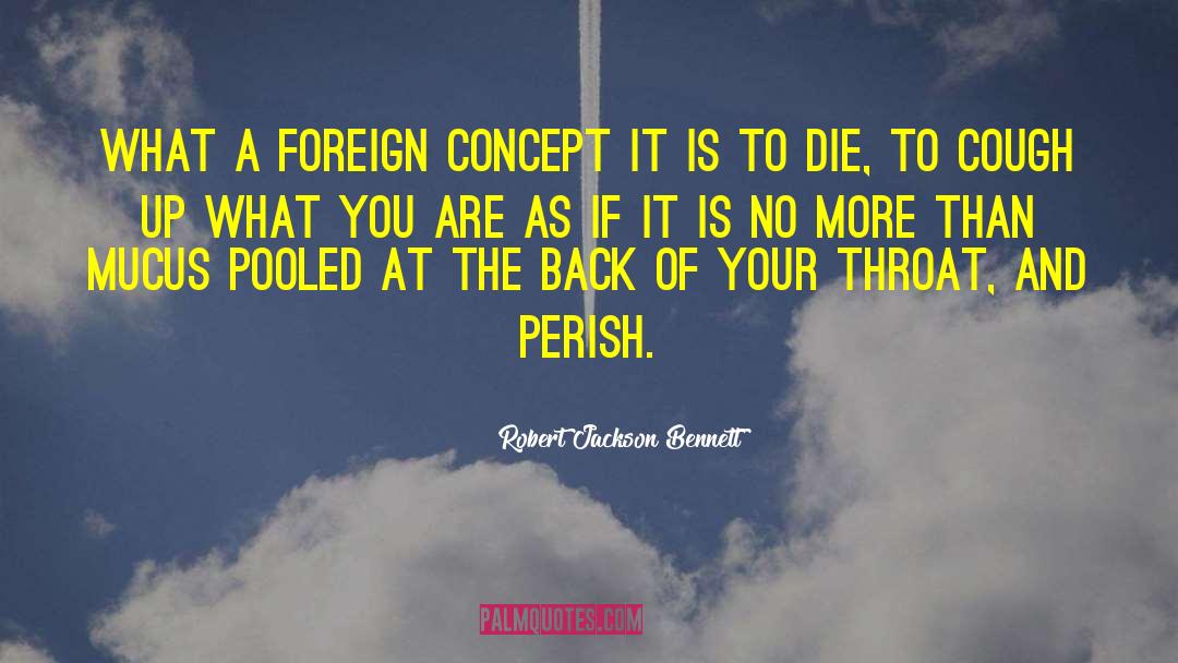 Robert Jackson Bennett Quotes: What a foreign concept it