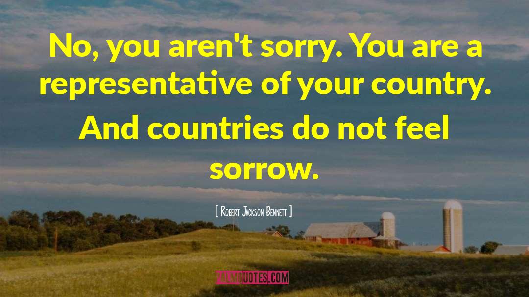 Robert Jackson Bennett Quotes: No, you aren't sorry. You