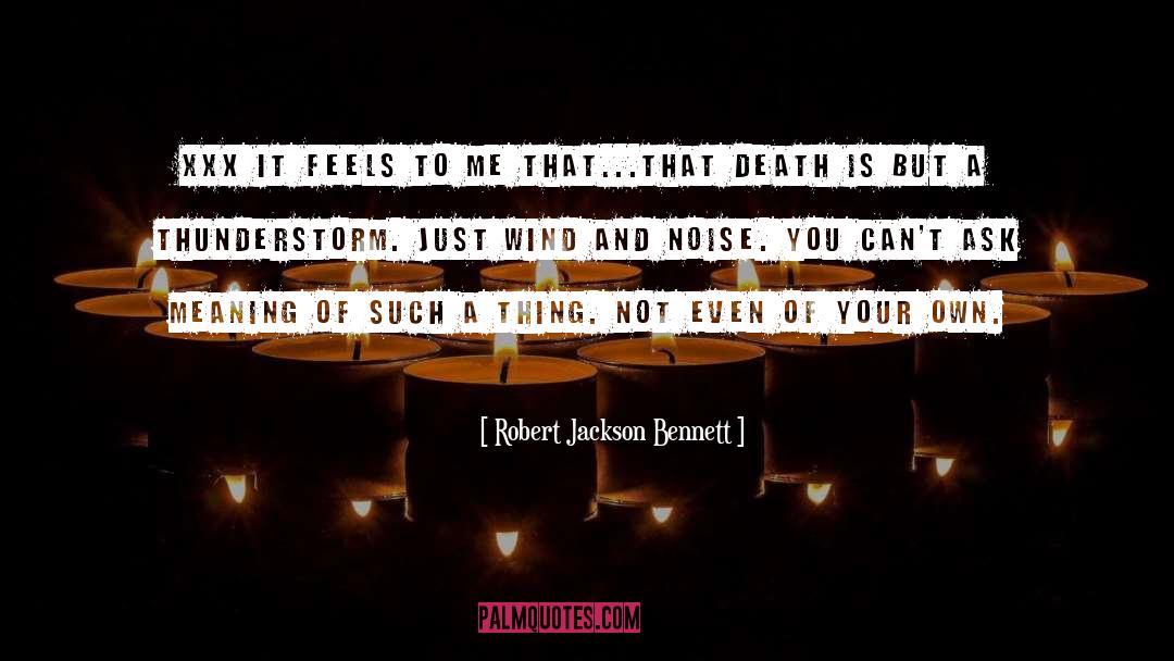 Robert Jackson Bennett Quotes: xxx it feels to me