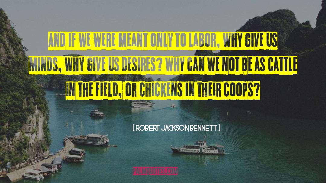 Robert Jackson Bennett Quotes: And if we were meant