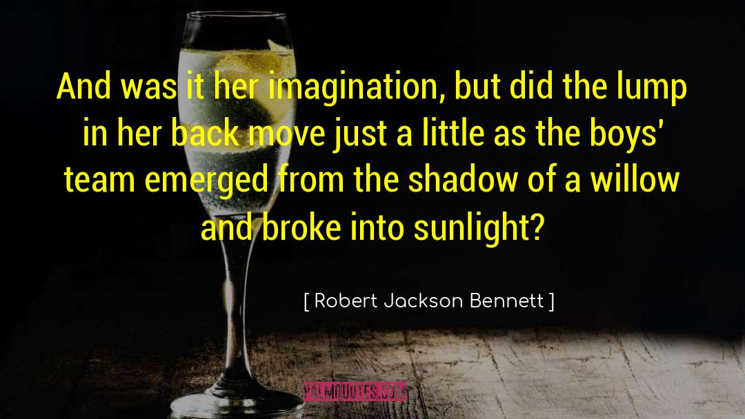 Robert Jackson Bennett Quotes: And was it her imagination,