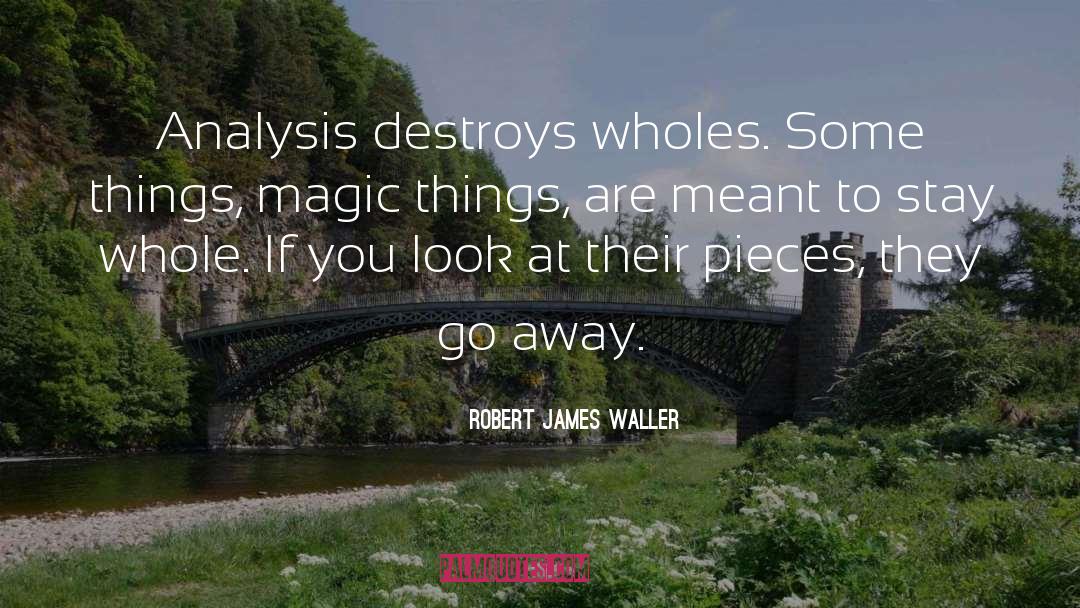 Robert James Waller Quotes: Analysis destroys wholes. Some things,