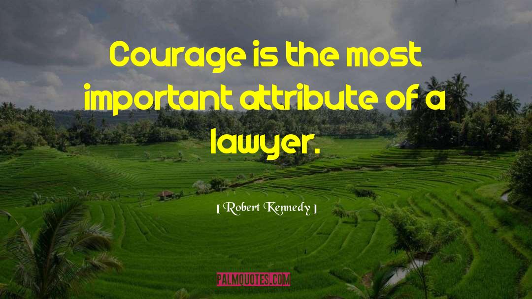 Robert Kennedy Quotes: Courage is the most important