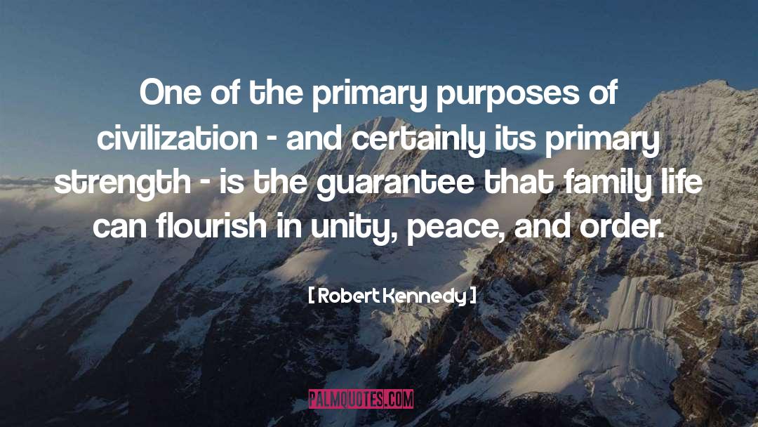 Robert Kennedy Quotes: One of the primary purposes