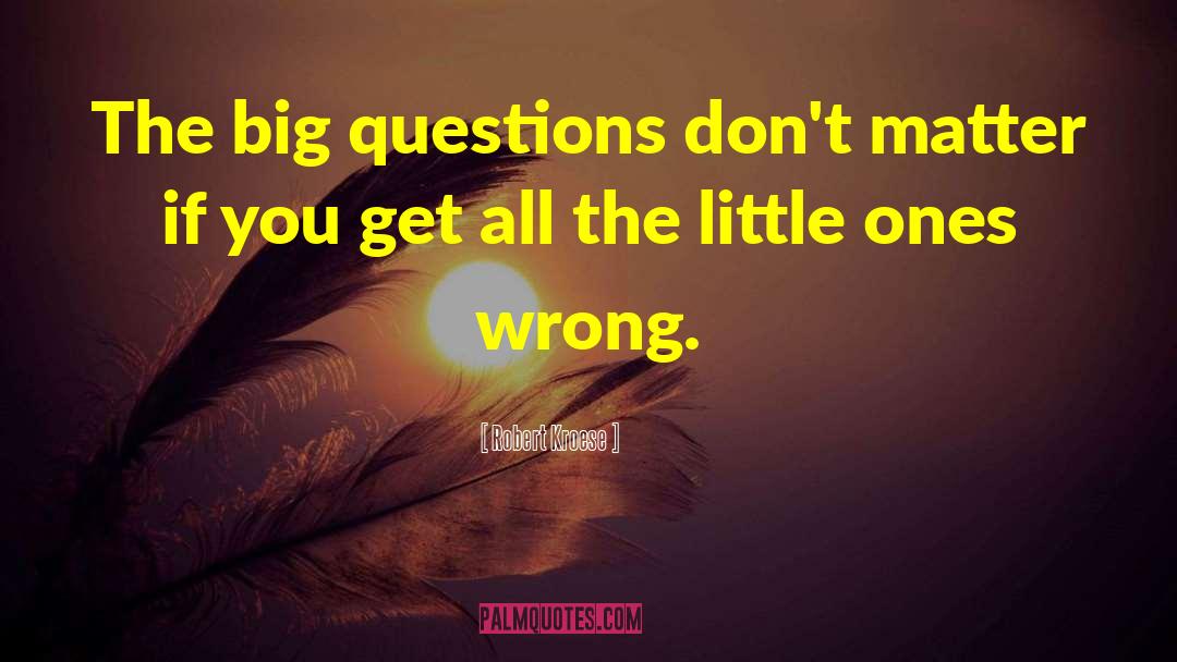 Robert Kroese Quotes: The big questions don't matter