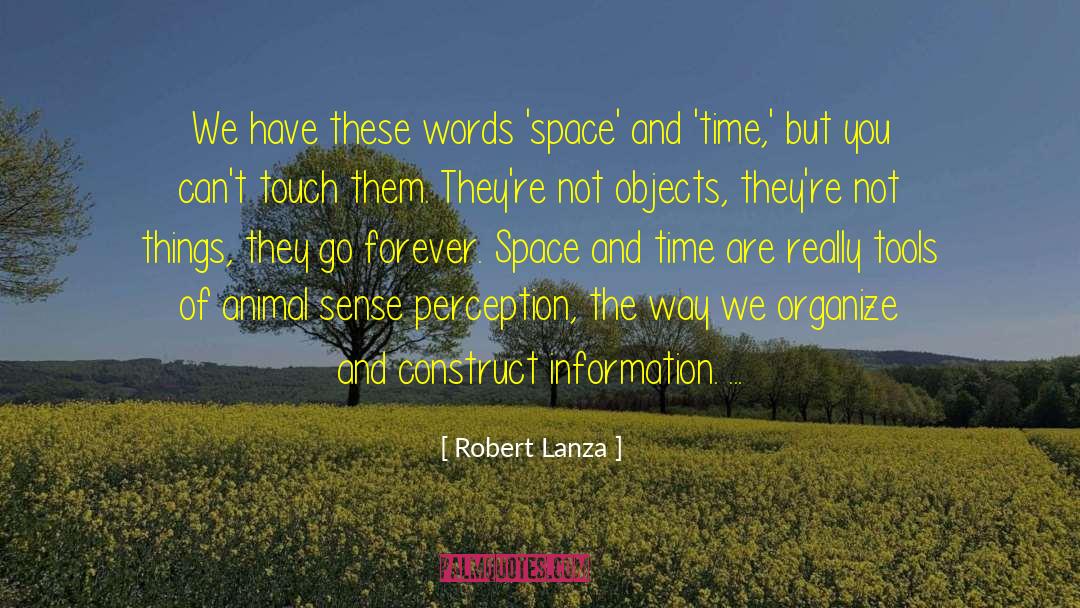 Robert Lanza Quotes: We have these words 'space'