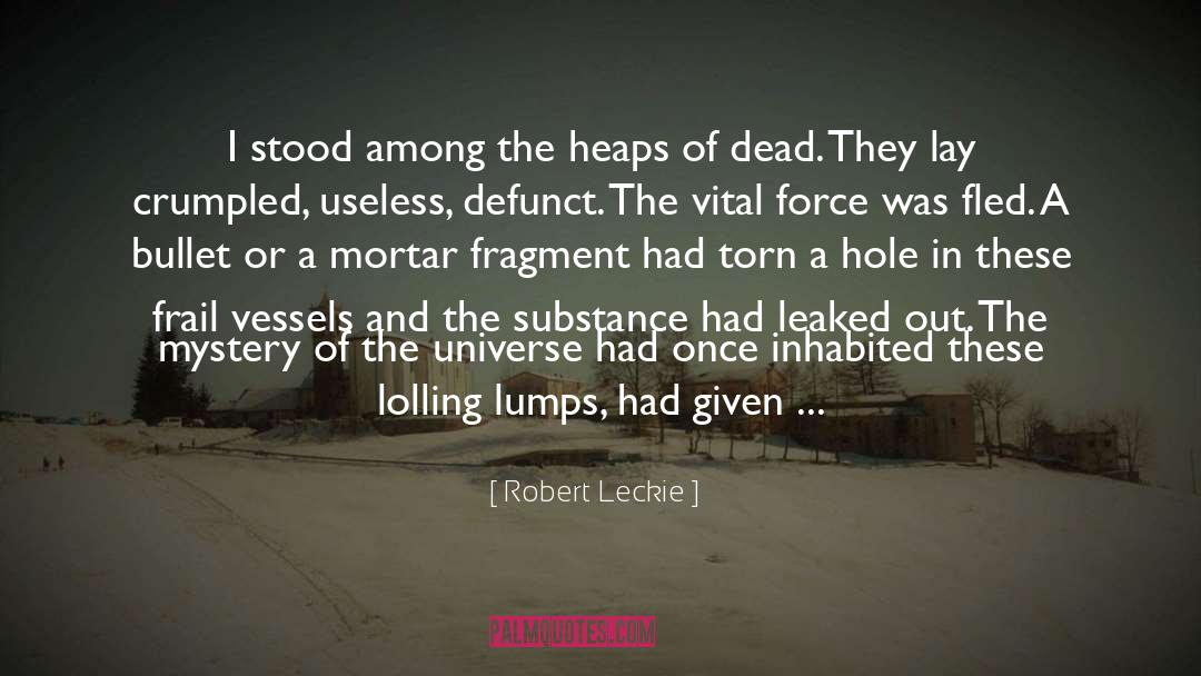 Robert Leckie Quotes: I stood among the heaps