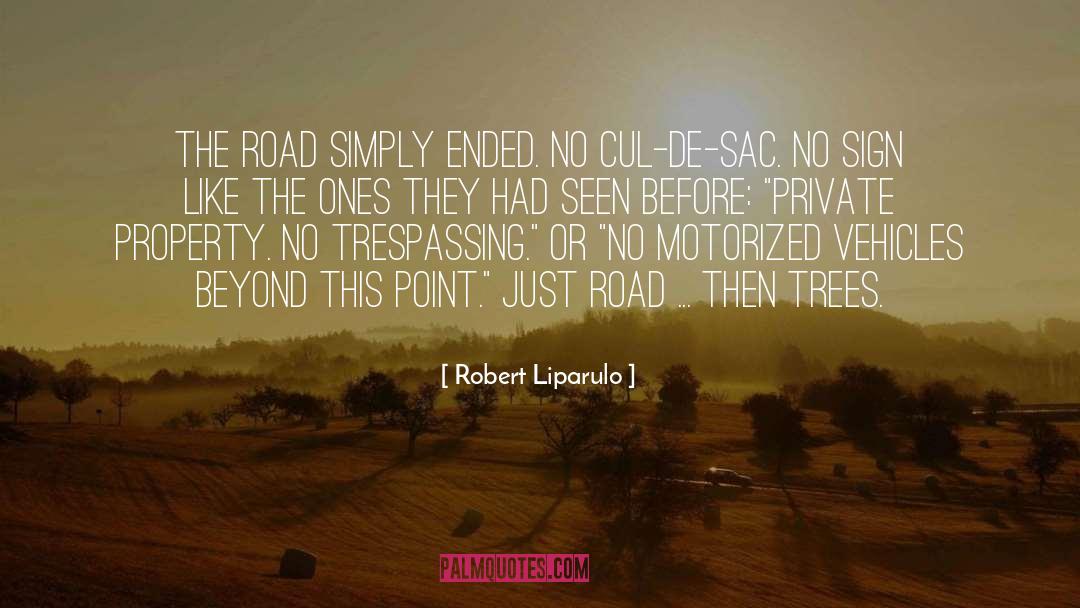 Robert Liparulo Quotes: The road simply ended. No