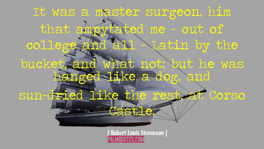 Robert Louis Stevenson Quotes: It was a master surgeon,