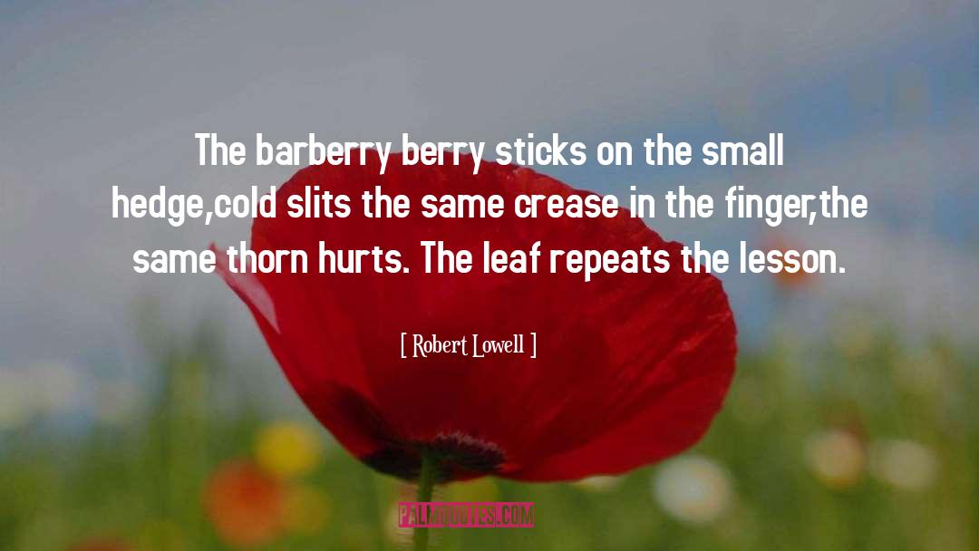 Robert Lowell Quotes: The barberry berry sticks on