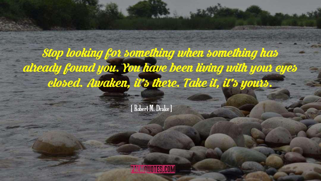 Robert M. Drake Quotes: Stop looking for something when