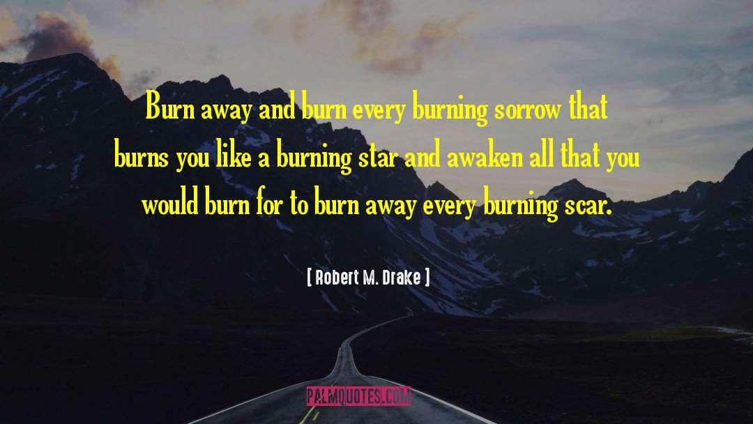 Robert M. Drake Quotes: Burn away and burn every