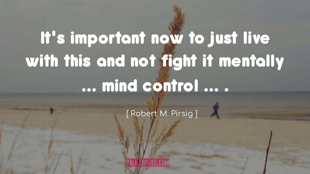 Robert M. Pirsig Quotes: It's important now to just