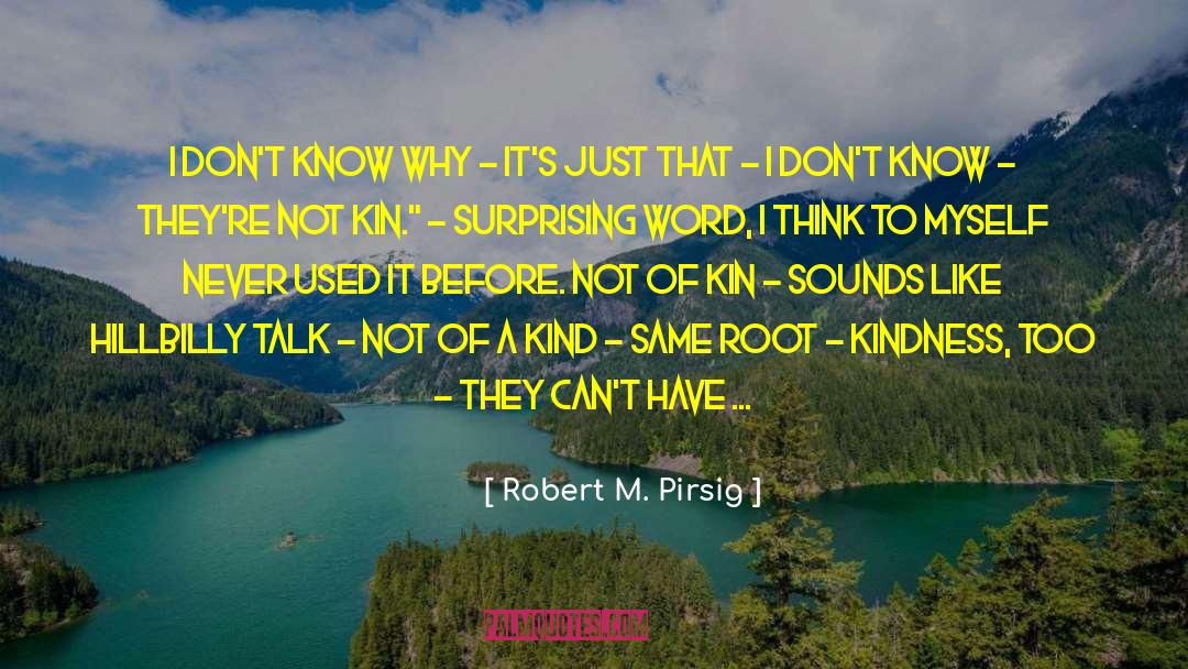 Robert M. Pirsig Quotes: I don't know why -