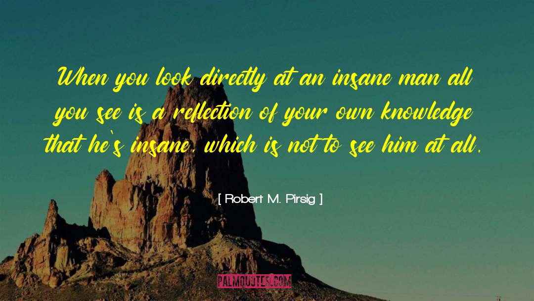 Robert M. Pirsig Quotes: When you look directly at