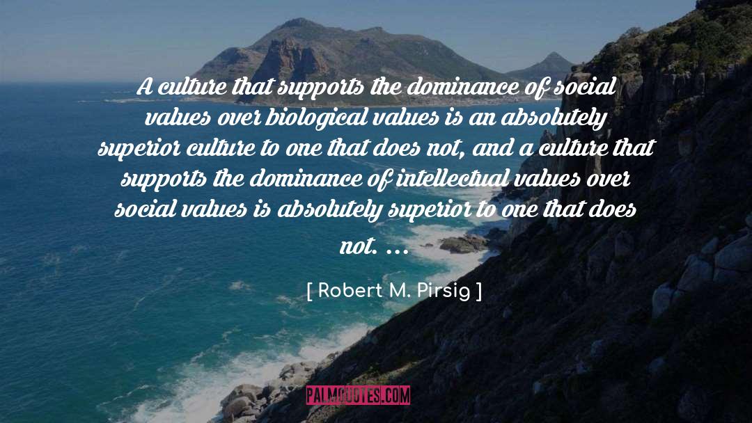 Robert M. Pirsig Quotes: A culture that supports the