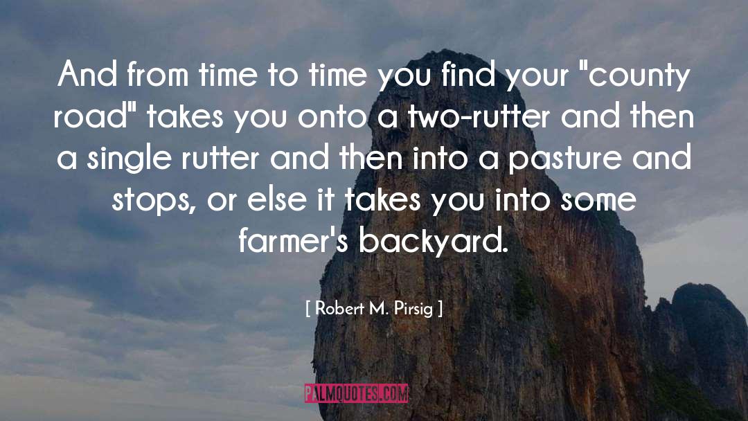 Robert M. Pirsig Quotes: And from time to time