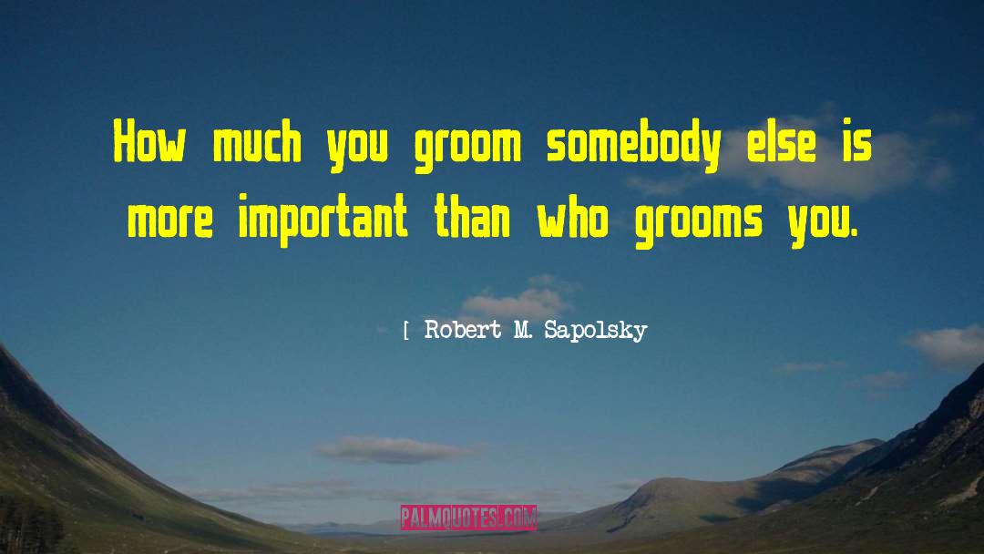 Robert M. Sapolsky Quotes: How much you groom somebody