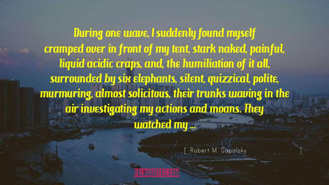Robert M. Sapolsky Quotes: During one wave, I suddenly