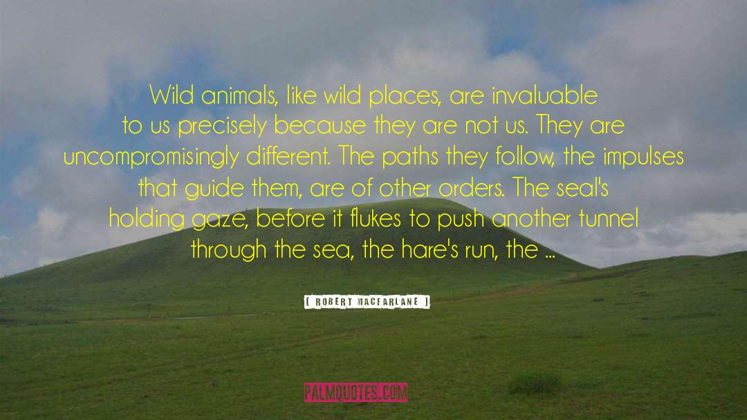 Robert Macfarlane Quotes: Wild animals, like wild places,