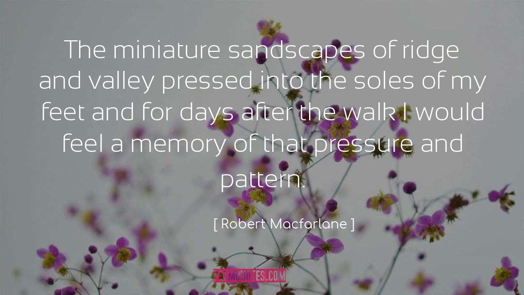 Robert Macfarlane Quotes: The miniature sandscapes of ridge