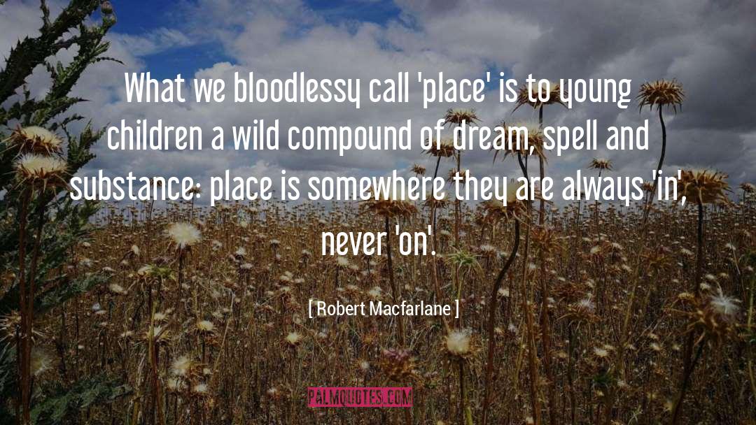 Robert Macfarlane Quotes: What we bloodlessy call 'place'