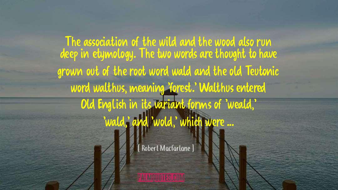 Robert Macfarlane Quotes: The association of the wild