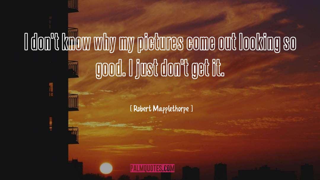 Robert Mapplethorpe Quotes: I don't know why my