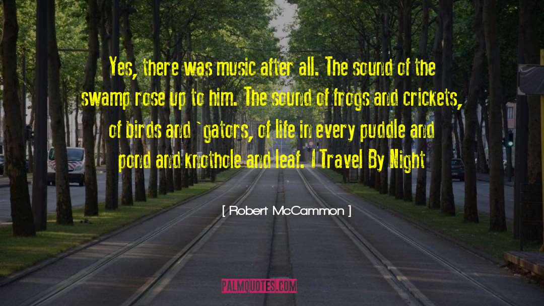 Robert McCammon Quotes: Yes, there was music after