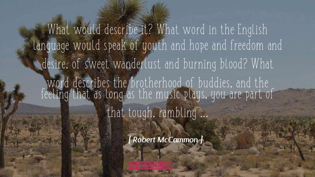 Robert McCammon Quotes: What would describe it? What