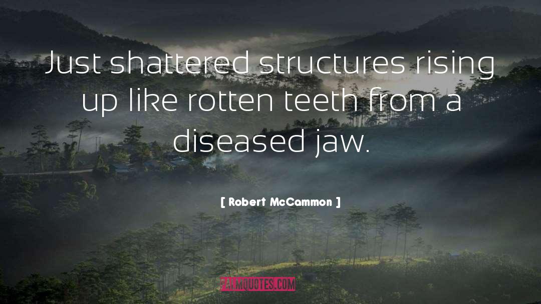 Robert McCammon Quotes: Just shattered structures rising up