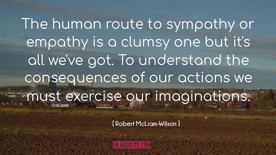 Robert McLiam-Wilson Quotes: The human route to sympathy