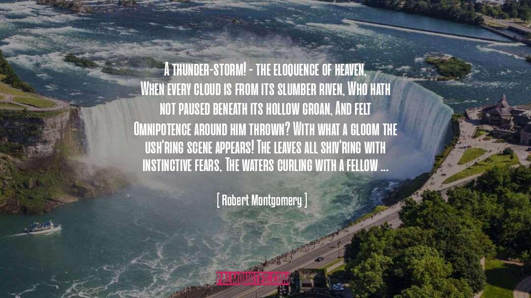 Robert Montgomery Quotes: A thunder-storm! - the eloquence