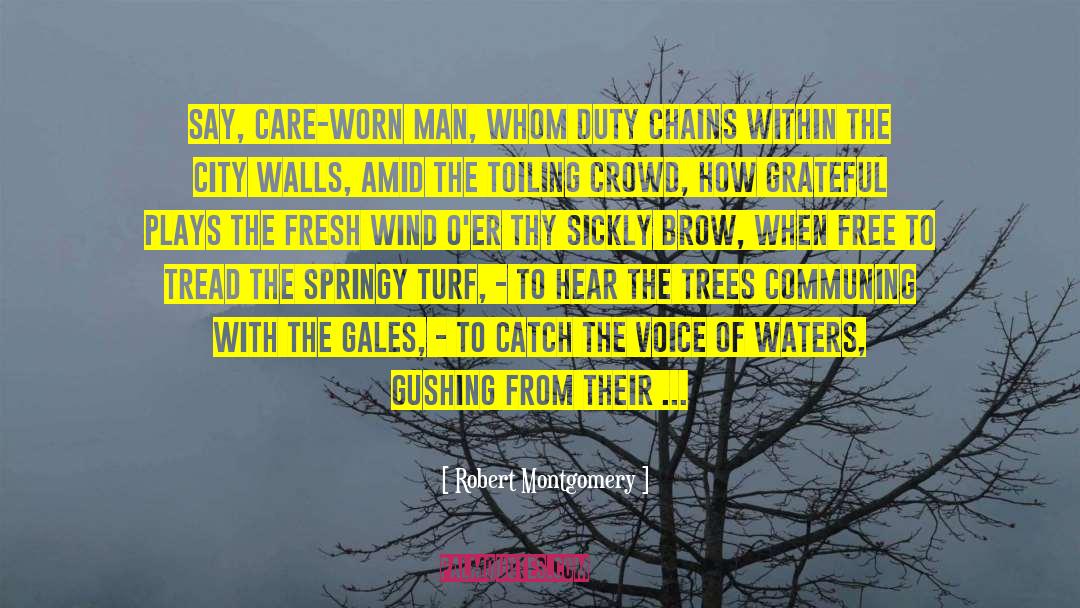 Robert Montgomery Quotes: Say, care-worn man, Whom Duty