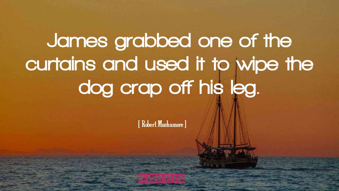 Robert Muchamore Quotes: James grabbed one of the