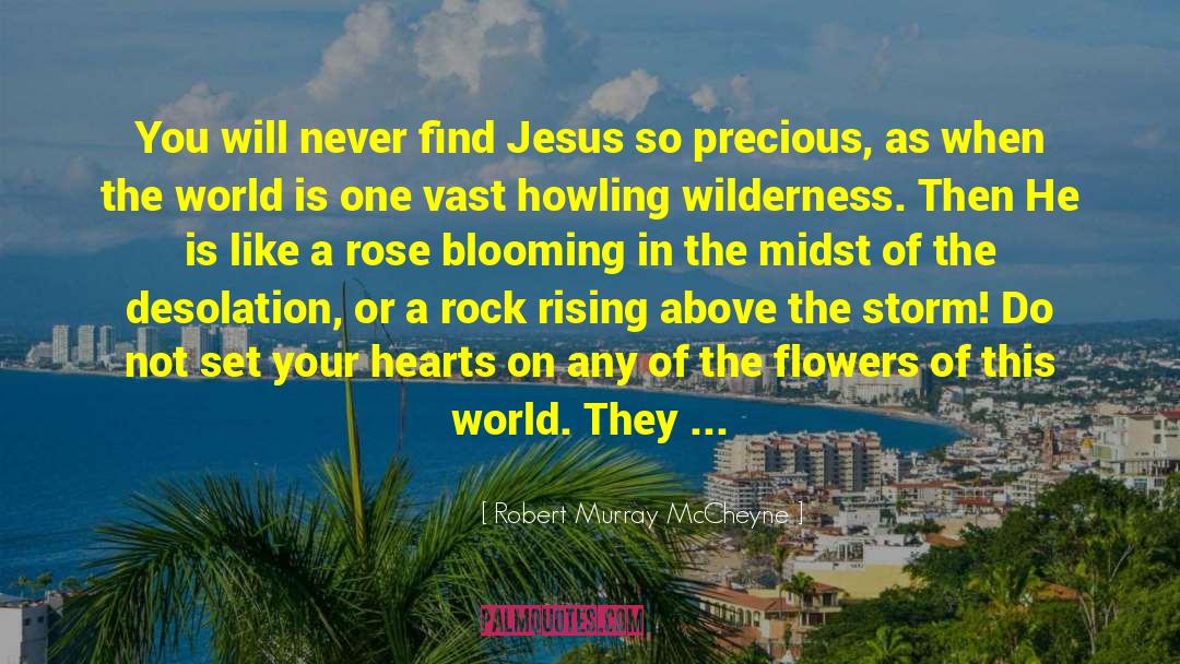Robert Murray McCheyne Quotes: You will never find Jesus