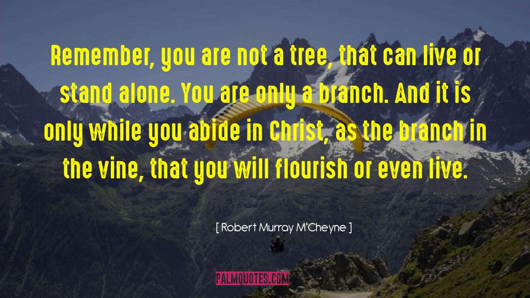 Robert Murray M'Cheyne Quotes: Remember, you are not a