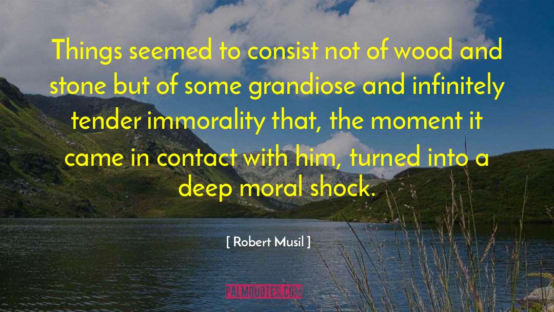 Robert Musil Quotes: Things seemed to consist not