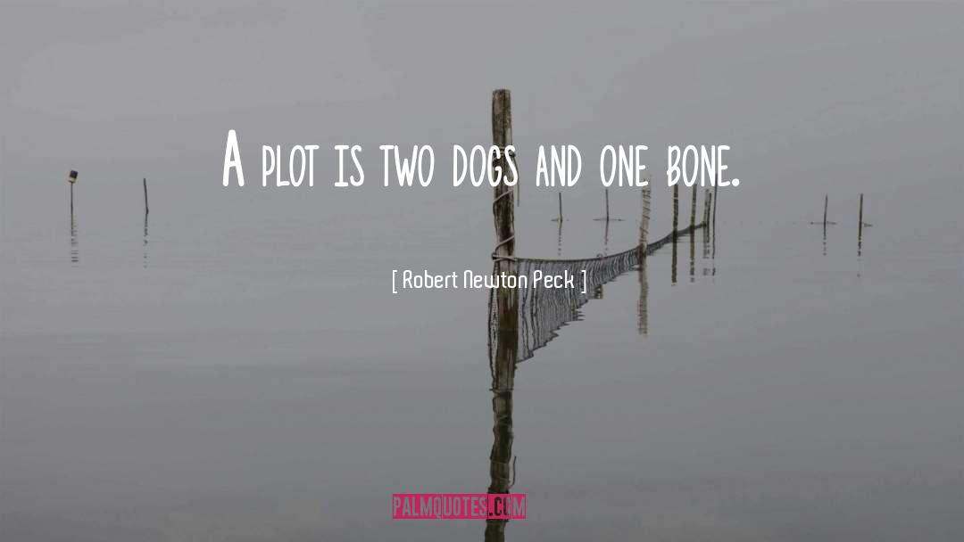 Robert Newton Peck Quotes: A plot is two dogs