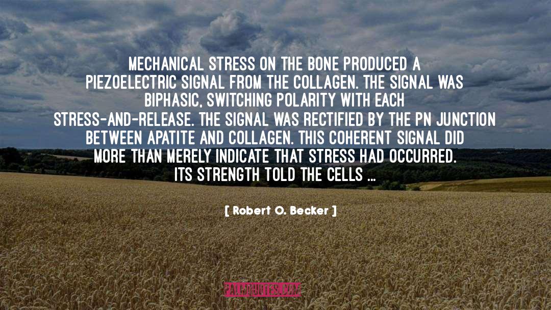 Robert O. Becker Quotes: Mechanical stress on the bone