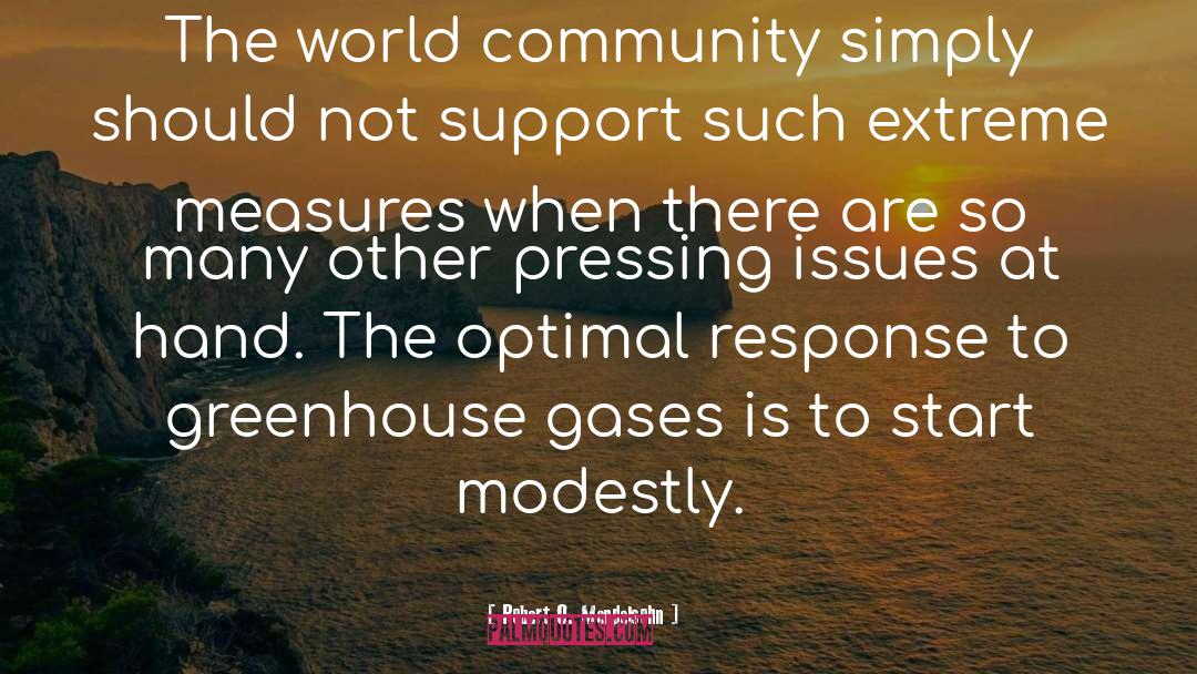 Robert O. Mendelsohn Quotes: The world community simply should