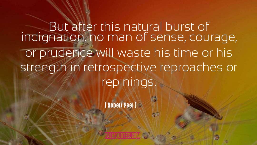 Robert Peel Quotes: But after this natural burst